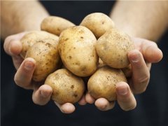 土豆能减肥你了解吗?